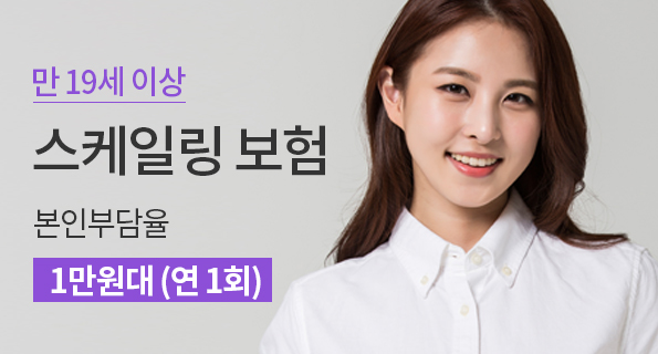 스케일링 보험