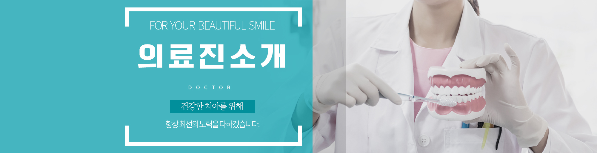 의료진소개 안내 - 다산리더스치과의원