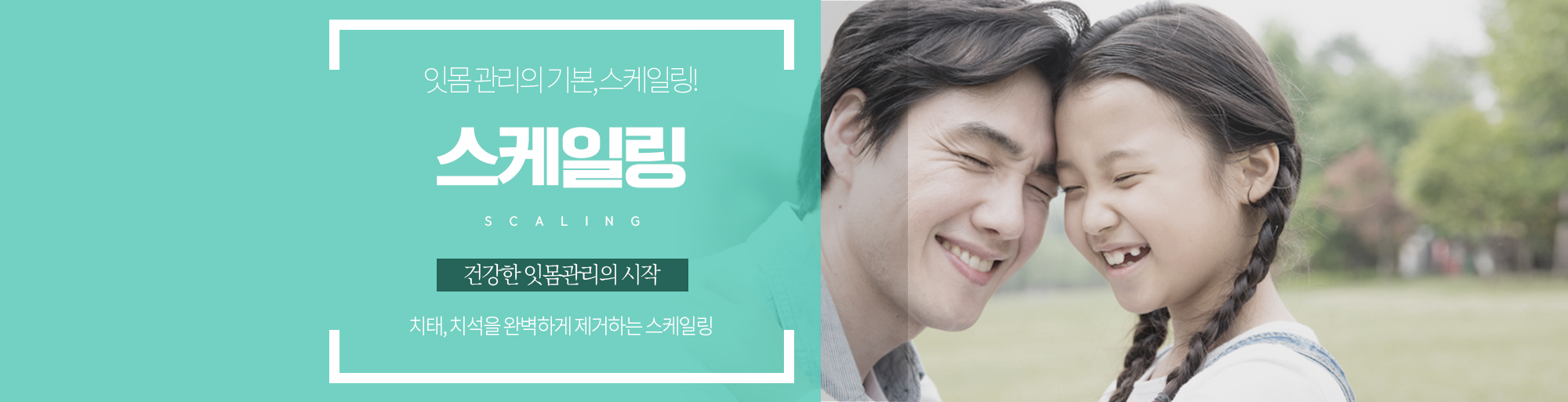 스케일링 안내 - 다산리더스치과의원