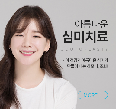 심미치료